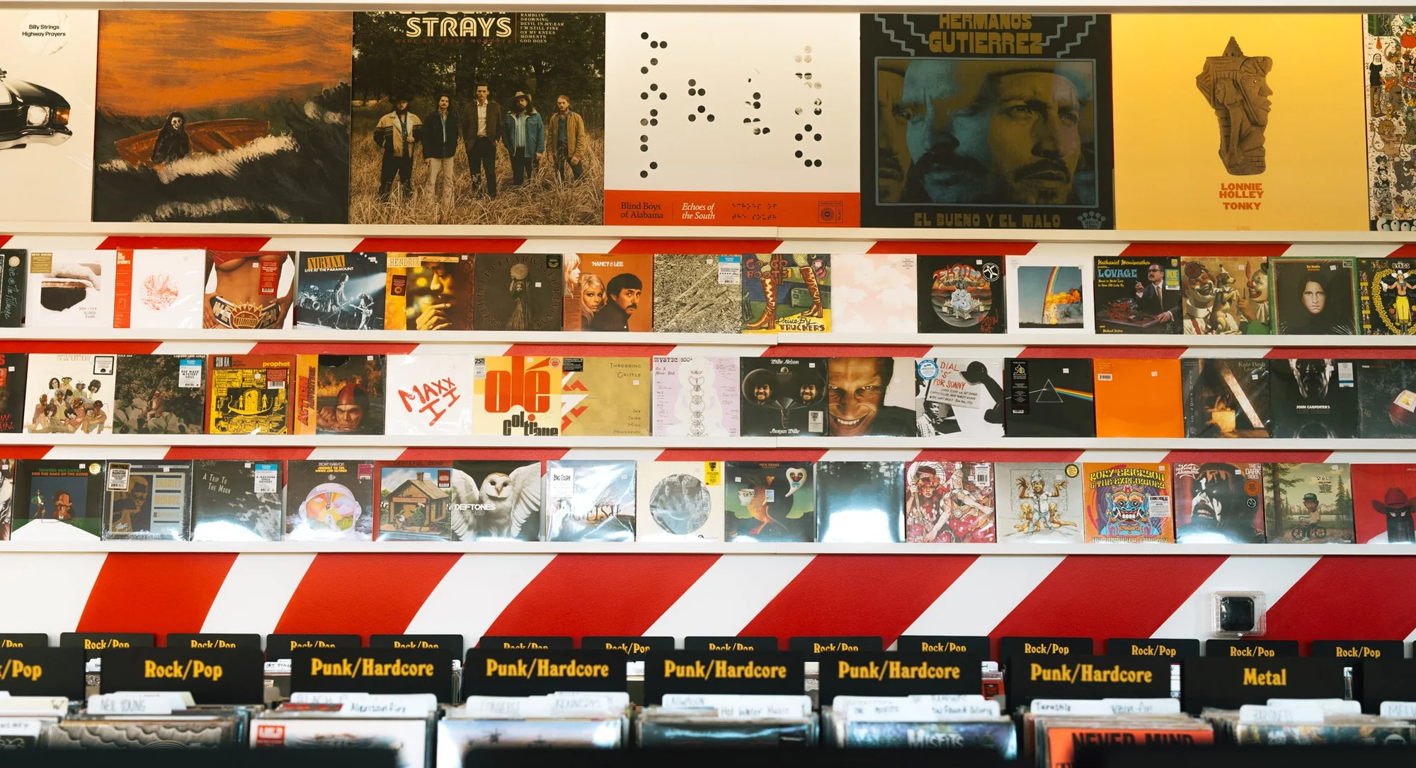 Your Local Hub for Vinyl